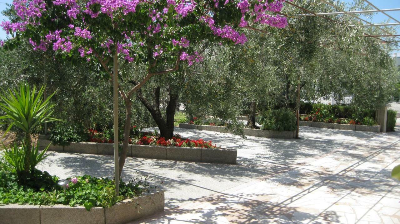 טרוגיר Apartments Maslina מראה חיצוני תמונה