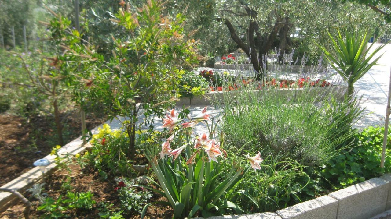 טרוגיר Apartments Maslina מראה חיצוני תמונה