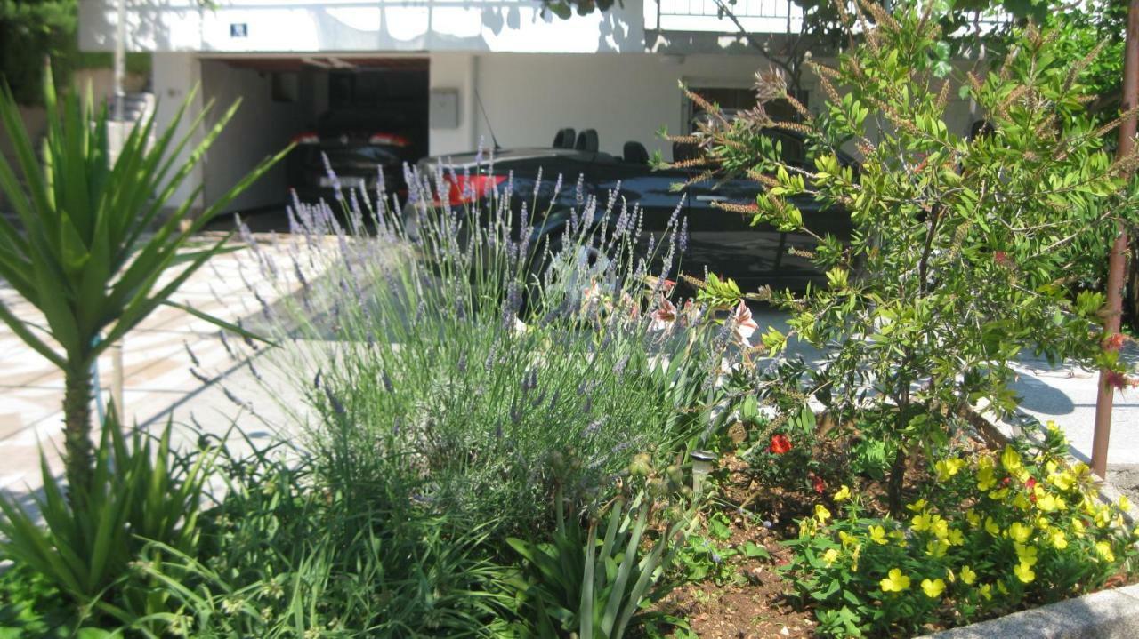 טרוגיר Apartments Maslina מראה חיצוני תמונה
