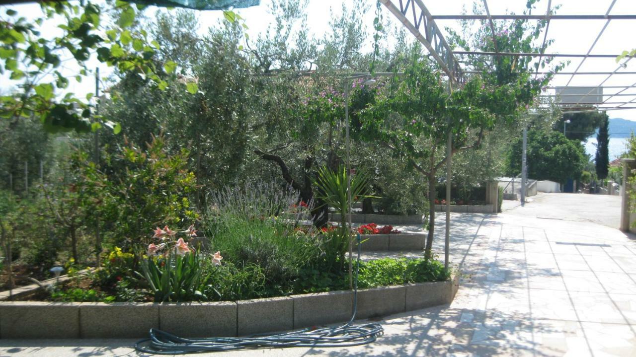 טרוגיר Apartments Maslina מראה חיצוני תמונה