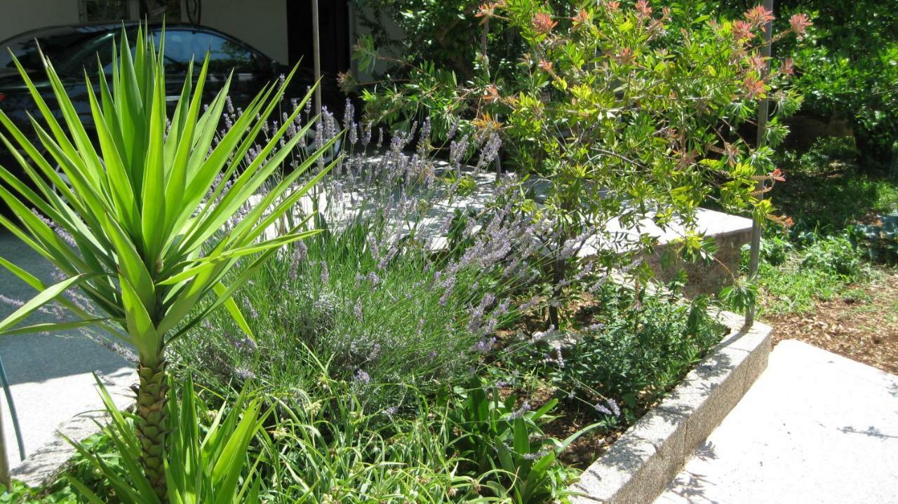 טרוגיר Apartments Maslina מראה חיצוני תמונה